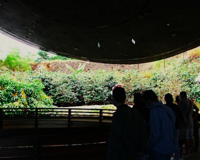 Several people stand indoors observing a large, curved digital screen displaying a vivid outdoor landscape with greenery and a person in traditional attire. The interior is dimly lit, contrasting with the bright scene outside.